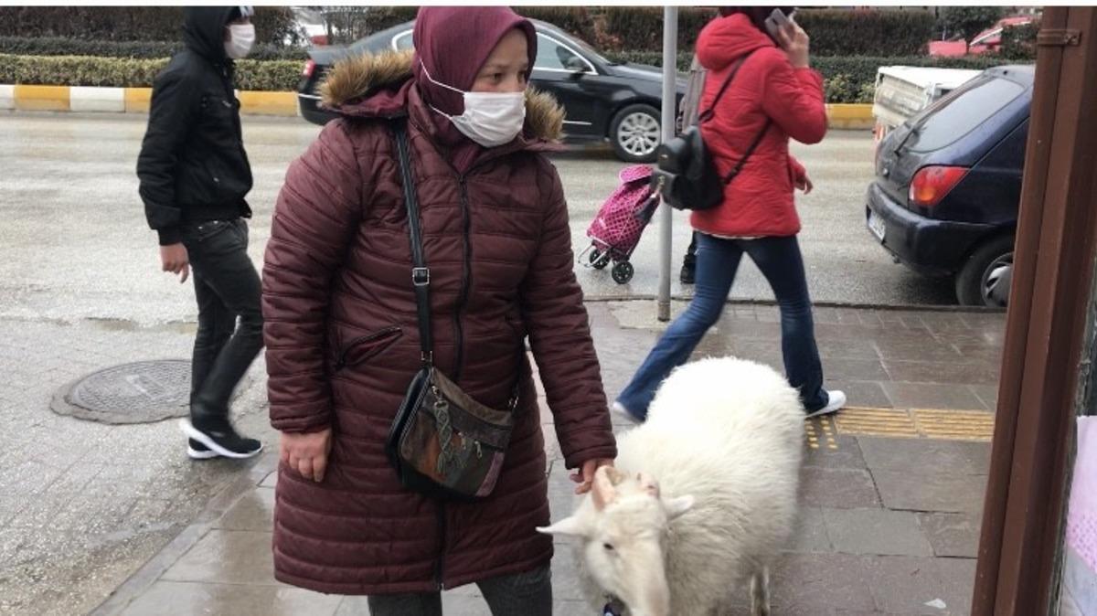 Eşinin hediyesi yavru kuzu ile hayatı bir anda değişti