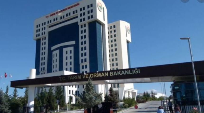 Güncel İŞKUR ilanları 2021... Mülakatsız, sınavsız Tarım ve Orman Bakanlığı 826 personel alımı başvuru şartları ve tarihleri