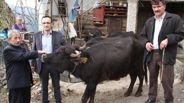 Giresun ekonomisine manda desteği