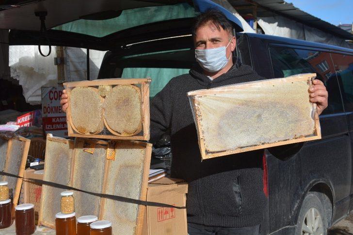 Sinop’ta kestane balına yoğun ilgi G1