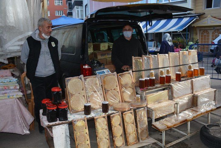 Sinop’ta kestane balına yoğun ilgi G2