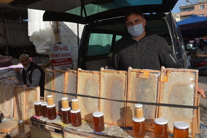 Sinop’ta kestane balına yoğun ilgi G3