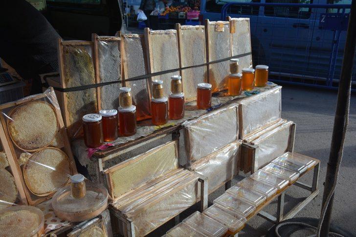 Sinop’ta kestane balına yoğun ilgi G4