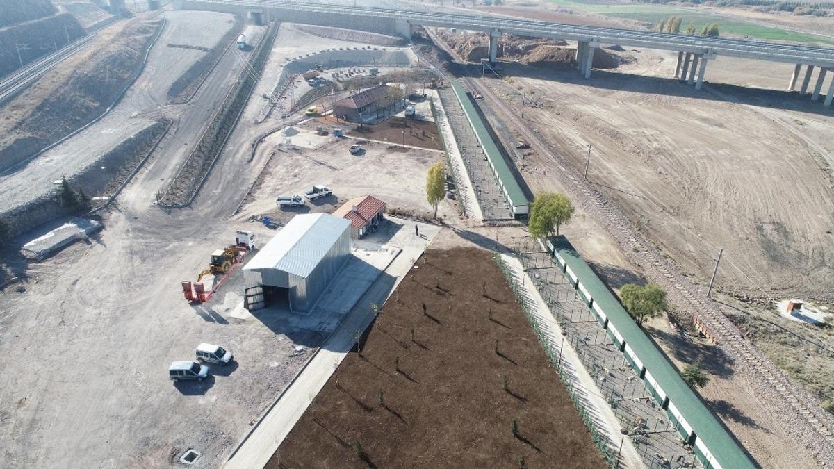 Sincan Belediyesinden sokak hayvanlarına &lsquo;sıcak yuva&rsquo;
