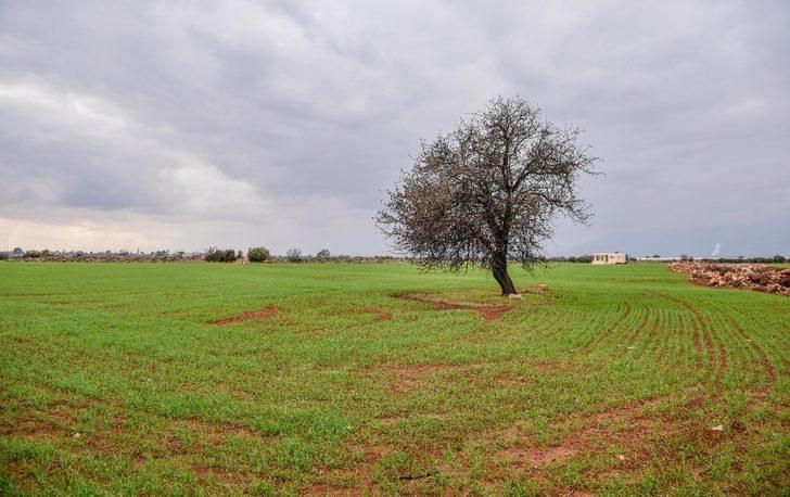 Kepez yeşil alanda altın yıllarını yaşıyor G2