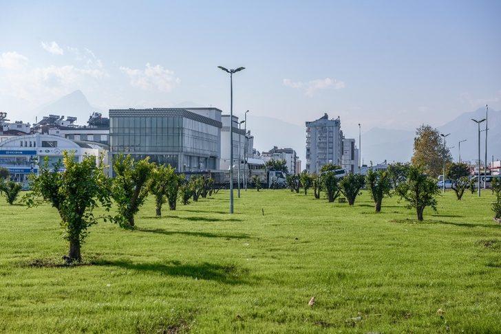 Kepez yeşil alanda altın yıllarını yaşıyor G5