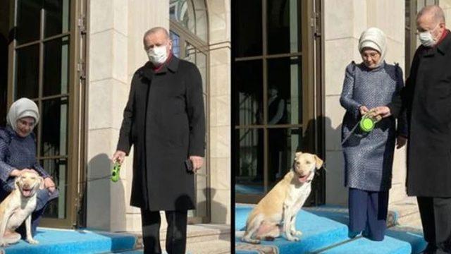 Emine Erdoğan'ın paylaşımı gündem oldu: Cumhurbaşkanımızı 'leblebi' ile birlikte uğurladık