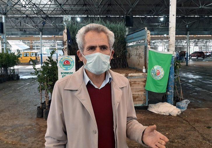 Bodrumlu üreticilere fidan dağıtımı G2