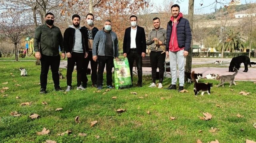 Başkan Şayir, sokak hayvanlarını unutmadı