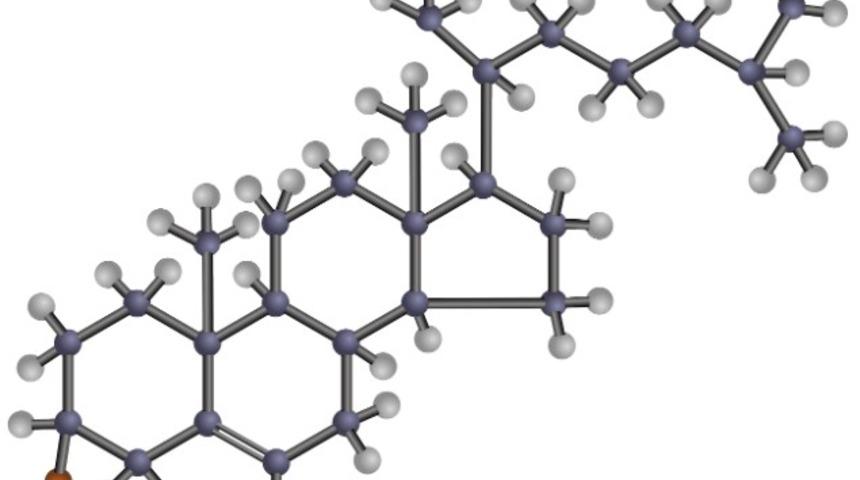 Ldl nedir? Uygun değerler kaç olmalıdır?