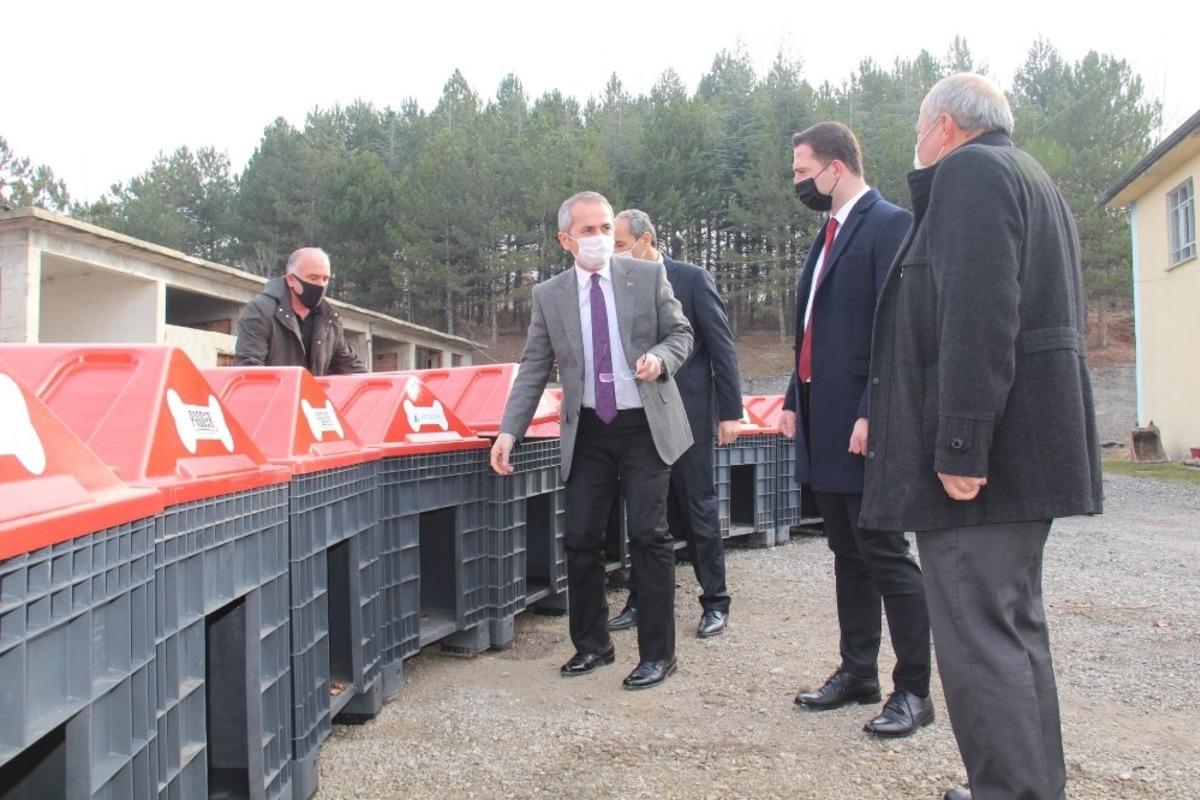 Kastamonu&rsquo;da &lsquo;Patiler &Uuml;ş&uuml;mesin&rsquo; kampanyası devam ediyor