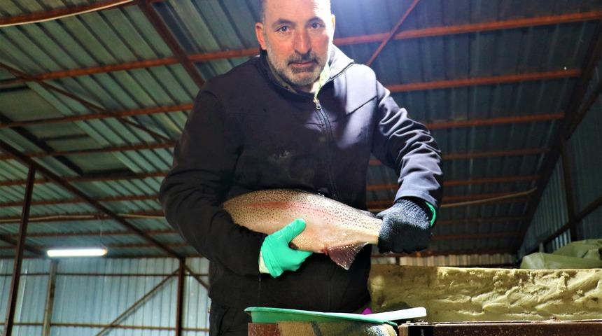 Bozkırda üretiyor, dünyaya satıyor! 39 milyon alabalık yumurtası işlendikten sonra çeşitli Avrupa ülkelerine gönderiliyor