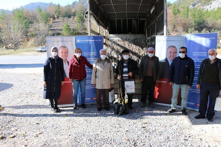 Büyükşehirden 4 ilçeye, ücretsiz 6 bin 500 ceviz fidanı G1