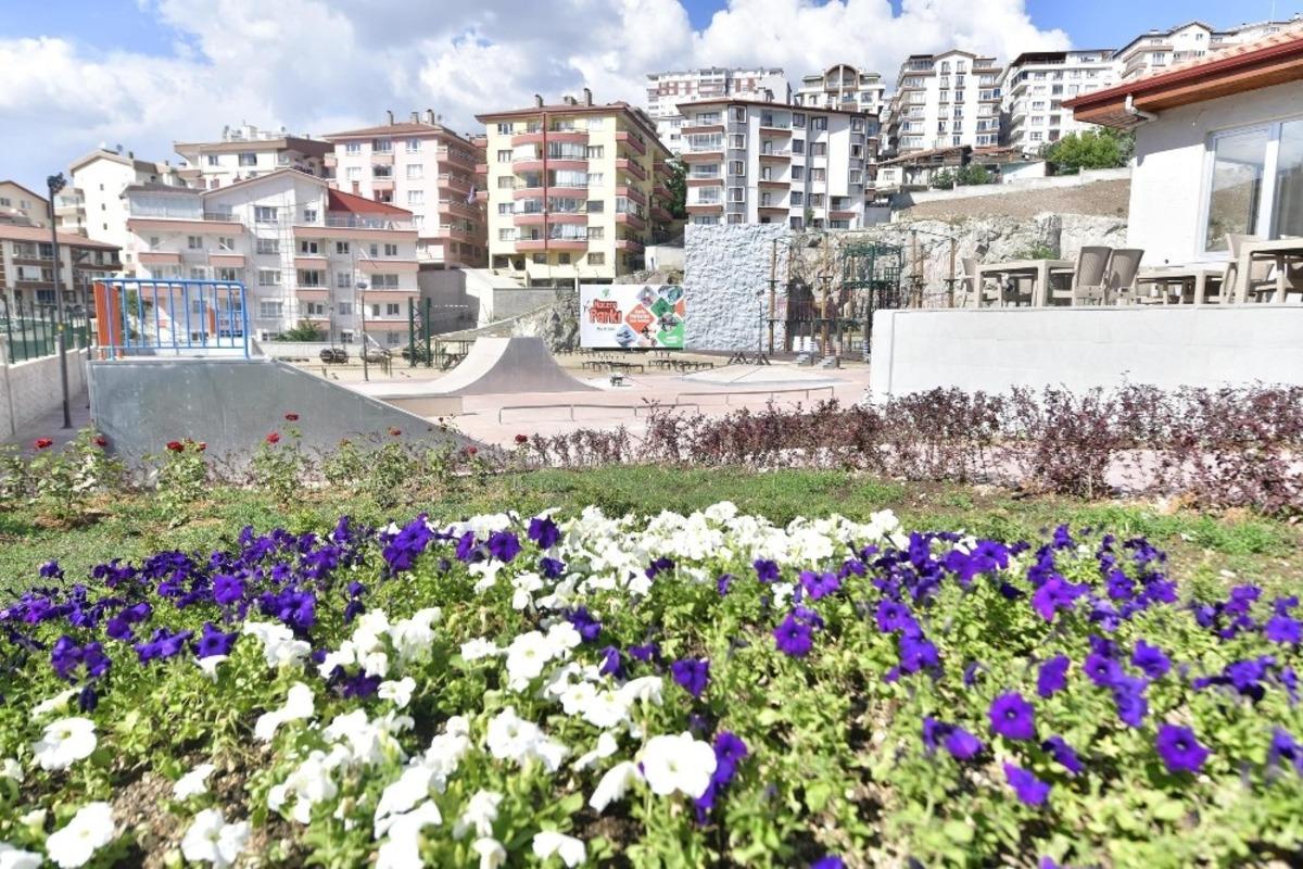 Mamak yeşil alanda altın &ccedil;ağlarını yaşıyor