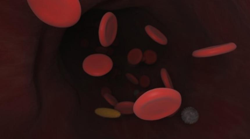 Lökosit (WBC) nedir? Yüksek veya düşük olması ne anlama gelir?