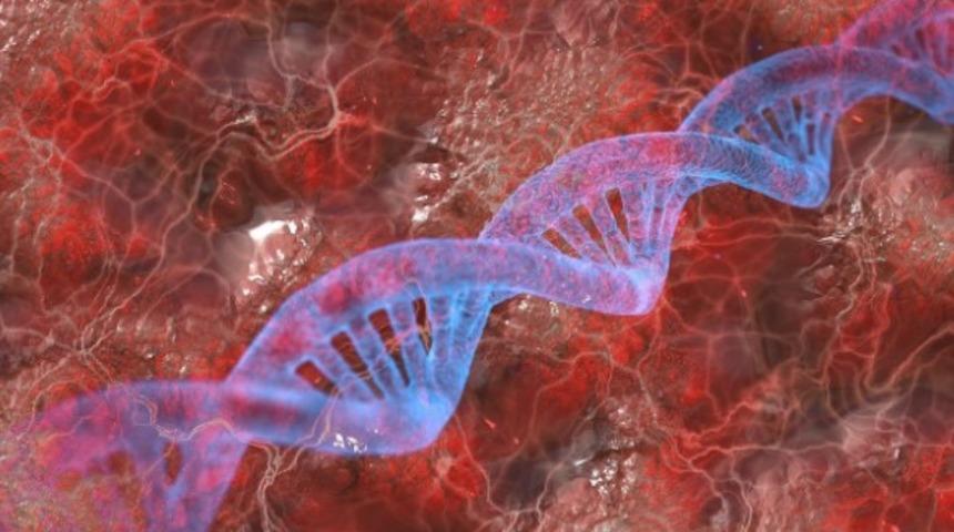 KML (Kronik Miyeloid Lösemi) hastalığı nedir? Tedavi ve tanı süreçleri nelerdir?