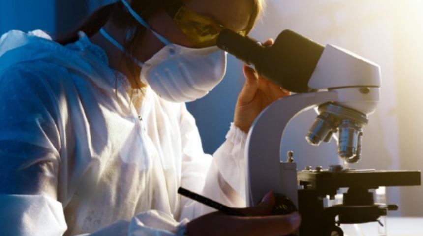 Amilaz enzimi nedir ve görevleri nelerdir?