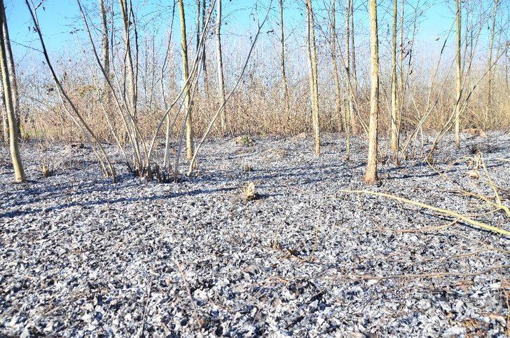 Anızı ateşe verdi, kavaklığı yakıyordu G3