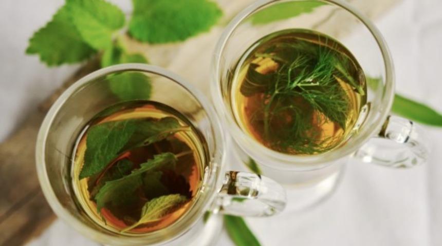 Demir dikeni nasıl kullanılır? Ne gibi özellikler taşır?