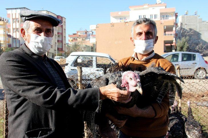 Yılbaşı kısıtlaması hindi satıcılarına yaradı G3