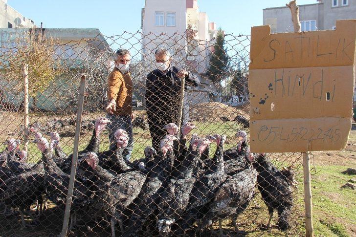 Yılbaşı kısıtlaması hindi satıcılarına yaradı G4