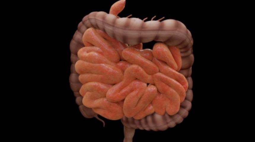 Geçirgen bağırsak sendromu belirtileri nelerdir? Tedavisi nedir?