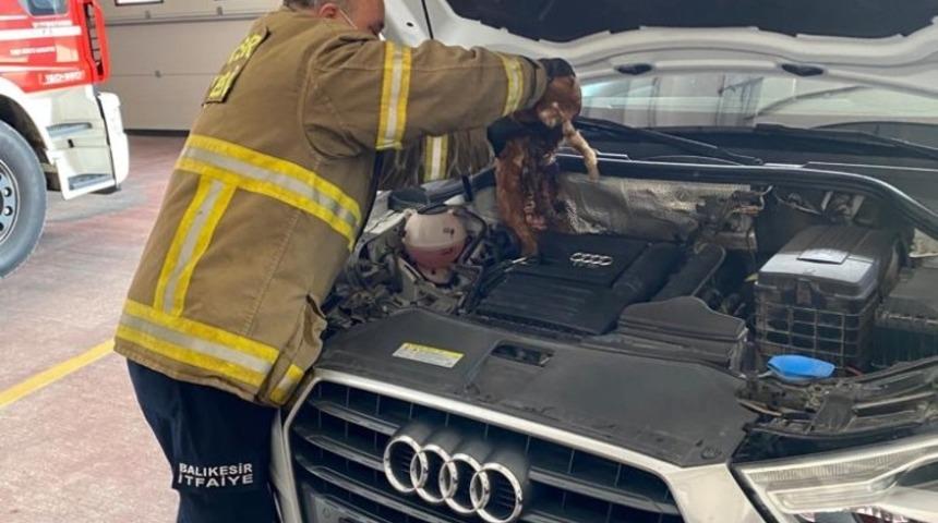 Aracında kedi olduğunu fark eden sürücü soluğu itfaiye garajında aldı