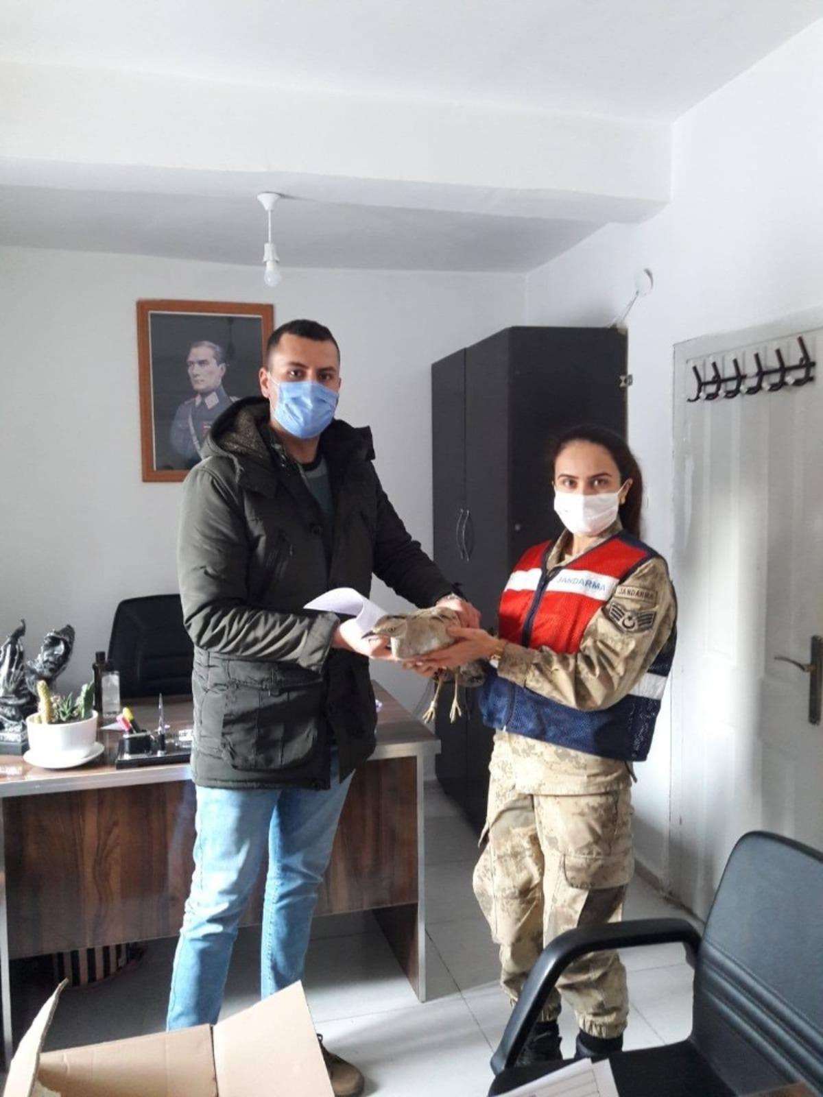 Yaralı Toy, tedavi altına alındı