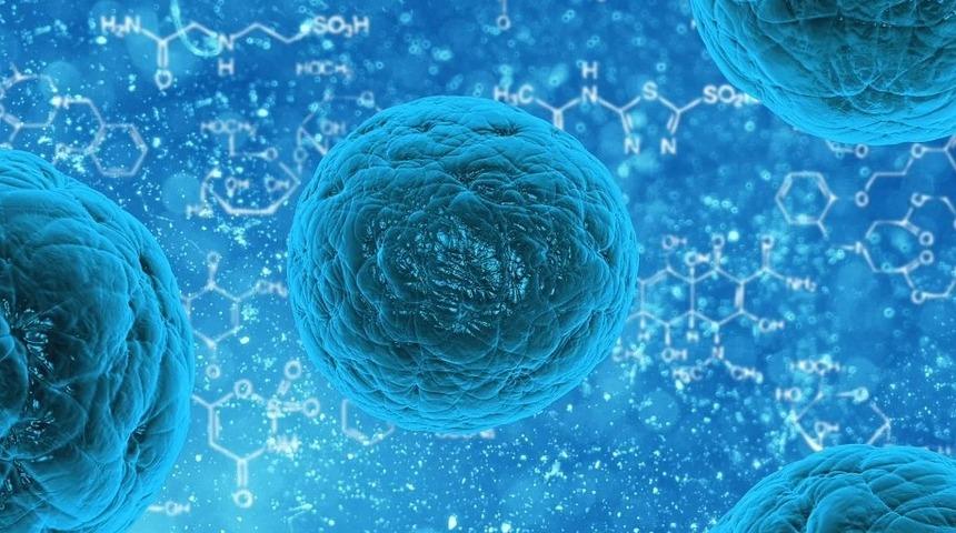 Kolon kanseri belirtileri ve nedenleri nelerdir?