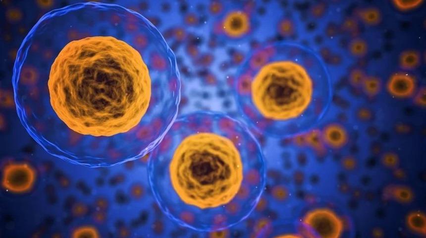 Cea karsinoembriyonik nedir? Neden bu kadar &ouml;nemlidir?