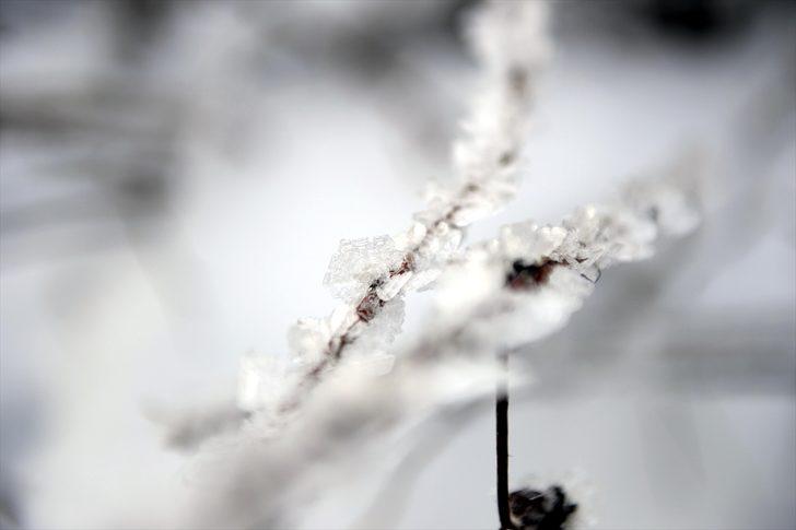 Doğu Anadolu'da dondurucu soğuklar G1