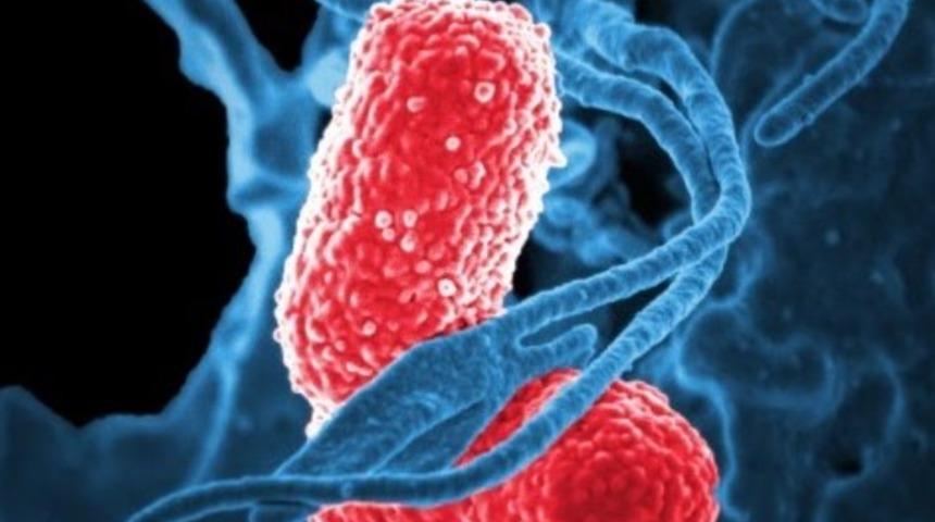 BAS nedir? BAS kan değeri yükselmesi ya da düşmesi neden kaynaklanır?