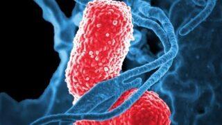 BAS nedir? BAS kan değeri yükselmesi ya da düşmesi neden kaynaklanır?