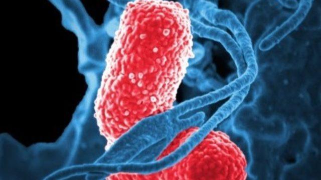 BAS nedir? BAS kan değeri yükselmesi ya da düşmesi neden kaynaklanır?