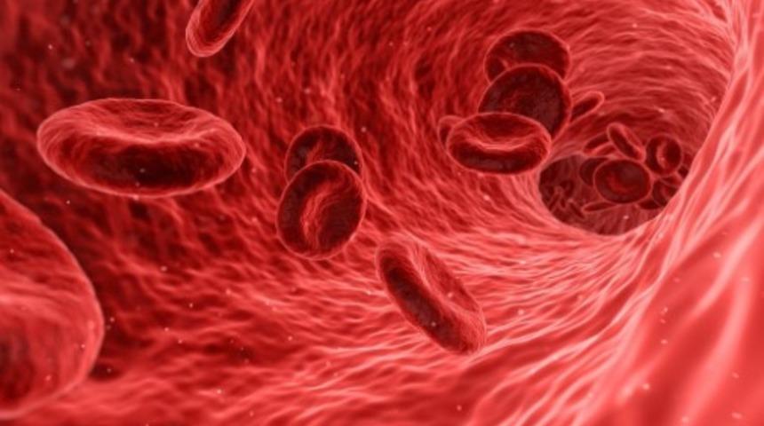 Hematüri (idrarda kanama) nedir? Nedenleri ve belirtileri nelerdir? 