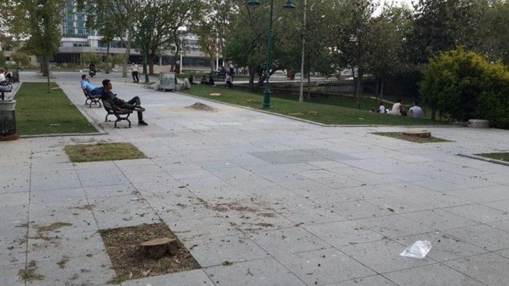 Gezi Parkı'nda ağaç katliamı