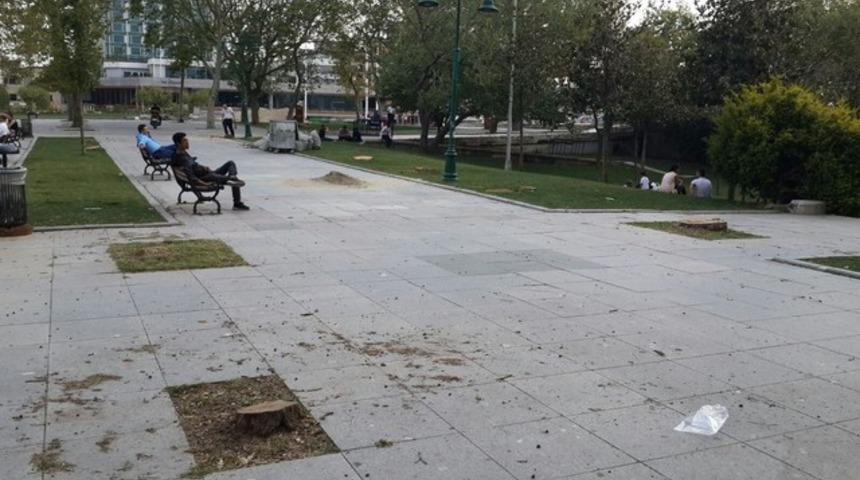 Gezi Parkı'nda ağaç katliamı
