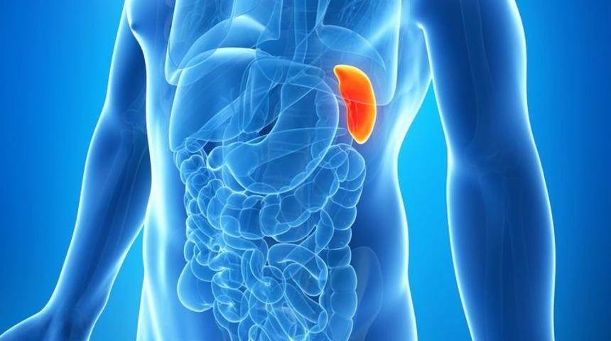 Kadının dalağı 48 saat boyunca vücudunda gezdi