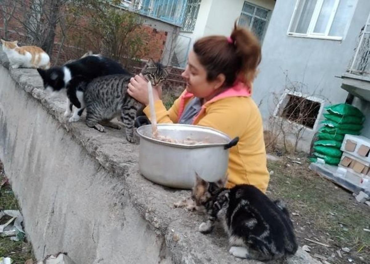 Sokak hayvanlarını evinin bah&ccedil;esinde besliyor