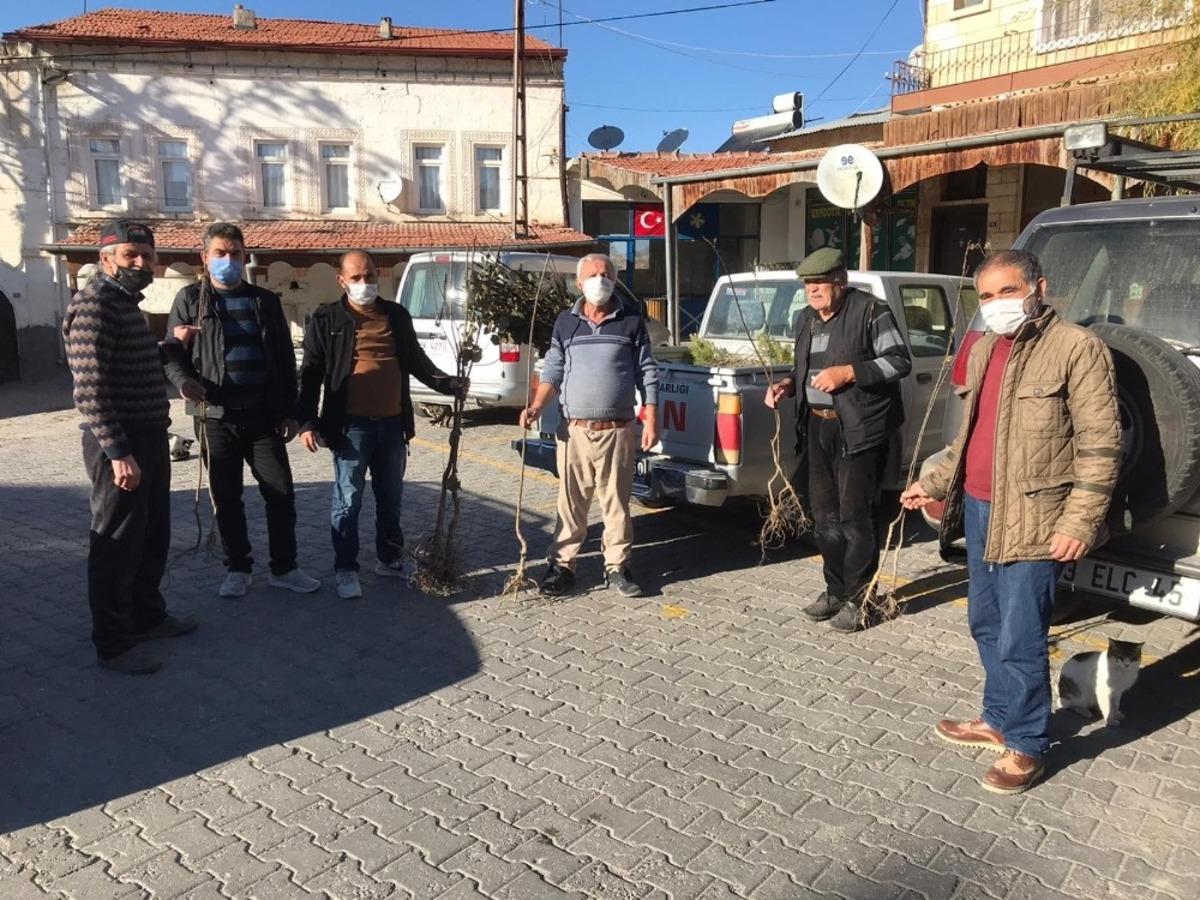 &Uuml;rg&uuml;p Ziraat Odası &uuml;reticilere 2021 adet ayva fidanı dağıttı