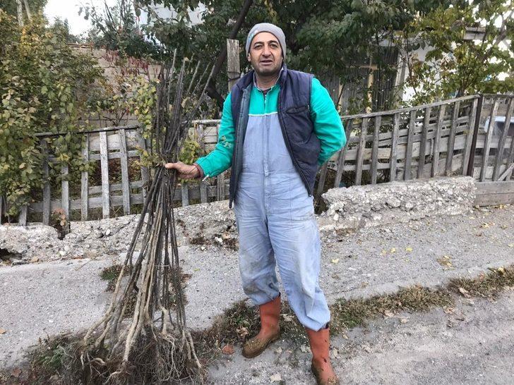 Ürgüp Ziraat Odası üreticilere 2021 adet ayva fidanı dağıttı G2