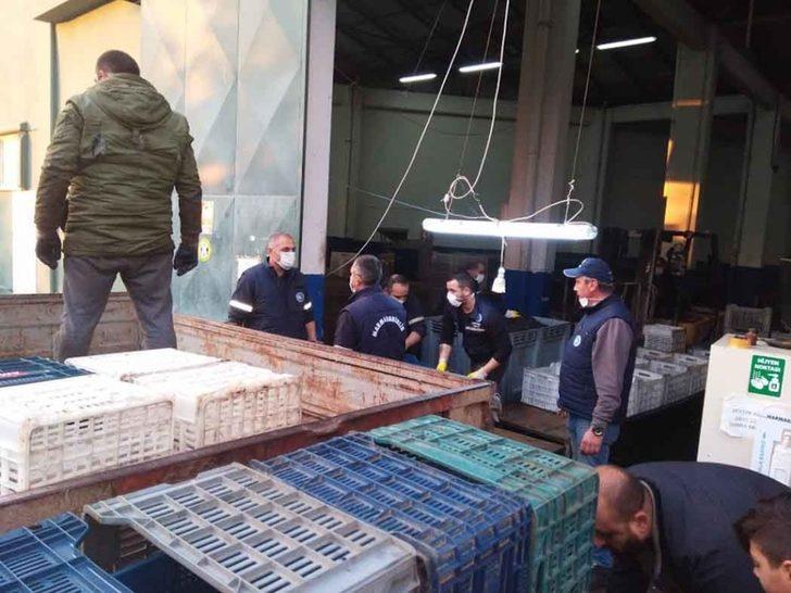 Zeytin rekolte tahmini tutmadı G2