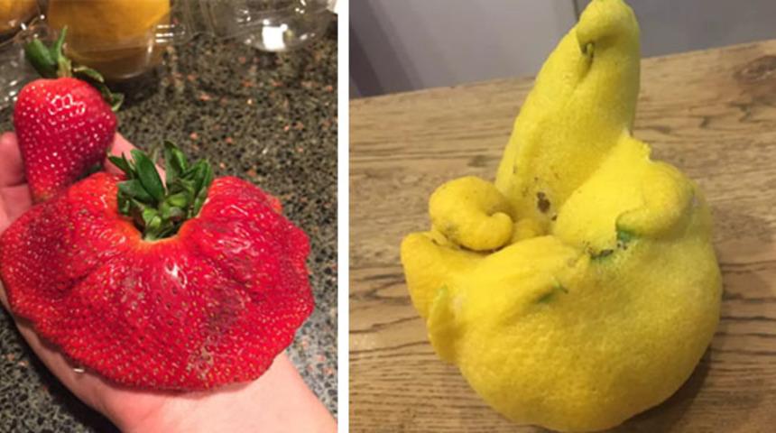 Aldıkları garip şekillerle &ldquo;Yemesek mi acaba?&rdquo; dedirten 17 garip meyve 