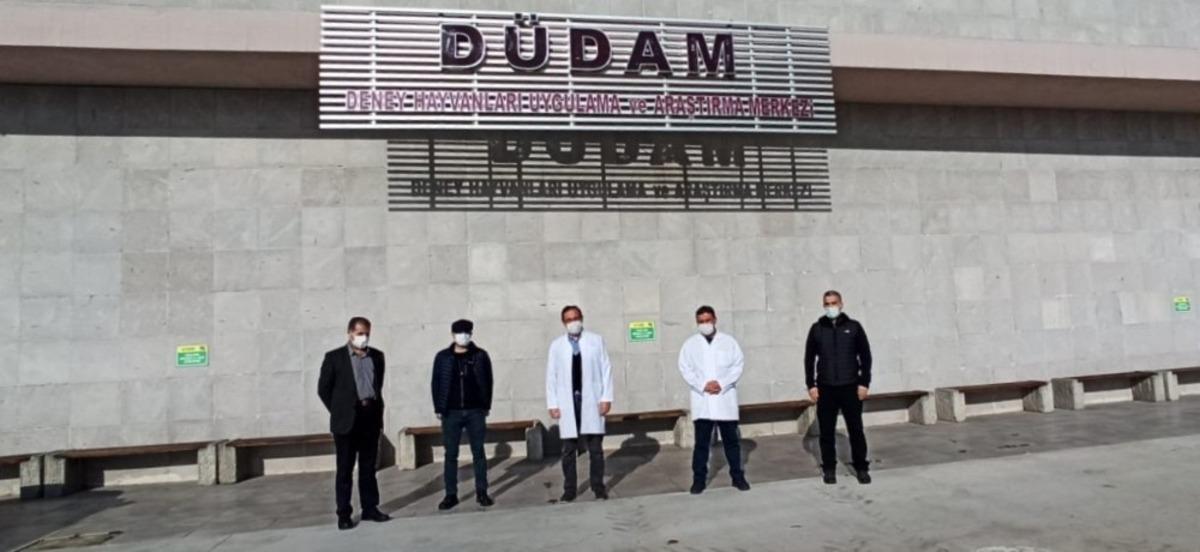 &Uuml;niversite&rsquo;nin denek hayvanları denetimden ge&ccedil;ti