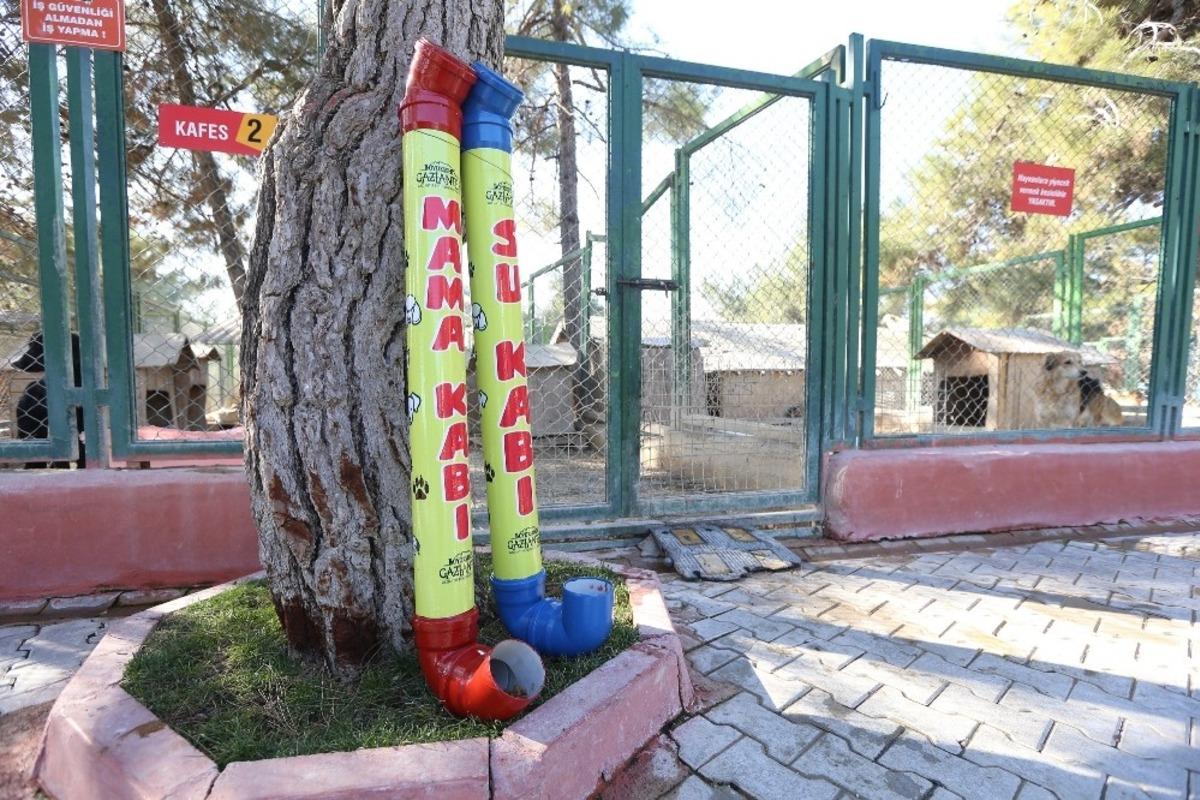 B&uuml;y&uuml;kşehir, yılbaşı kısıtlamalarında sokak hayvanlarını a&ccedil; bırakmayacak