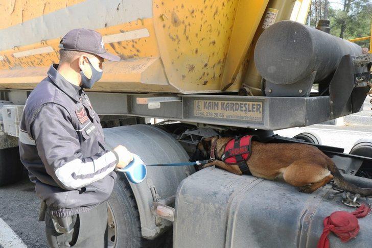 Jandarma 249 litre sahte alkol ele geçirdi G2