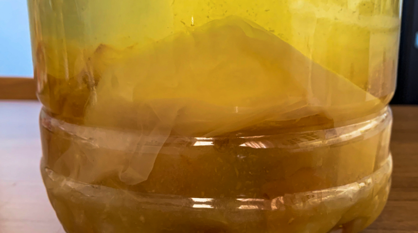 Sirkenizi evde yapıyorsanız buna ihtiyacınız olacak: İşte doğal mucize sirke anası 