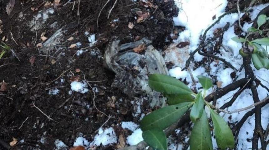 Giresun’da bölücü terör örgütüne ait erzak deposu bulundu