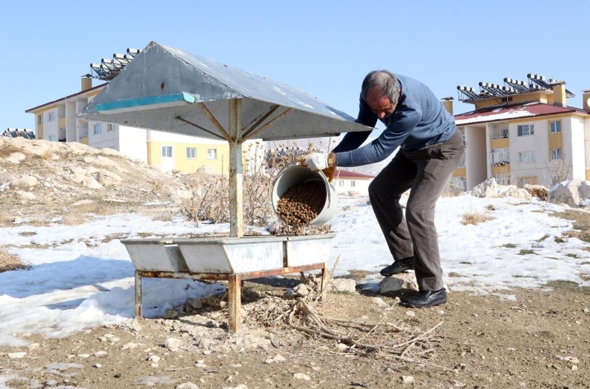 Van&rsquo;da kısıtlama &ouml;ncesi sokak hayvanları unutulmadı