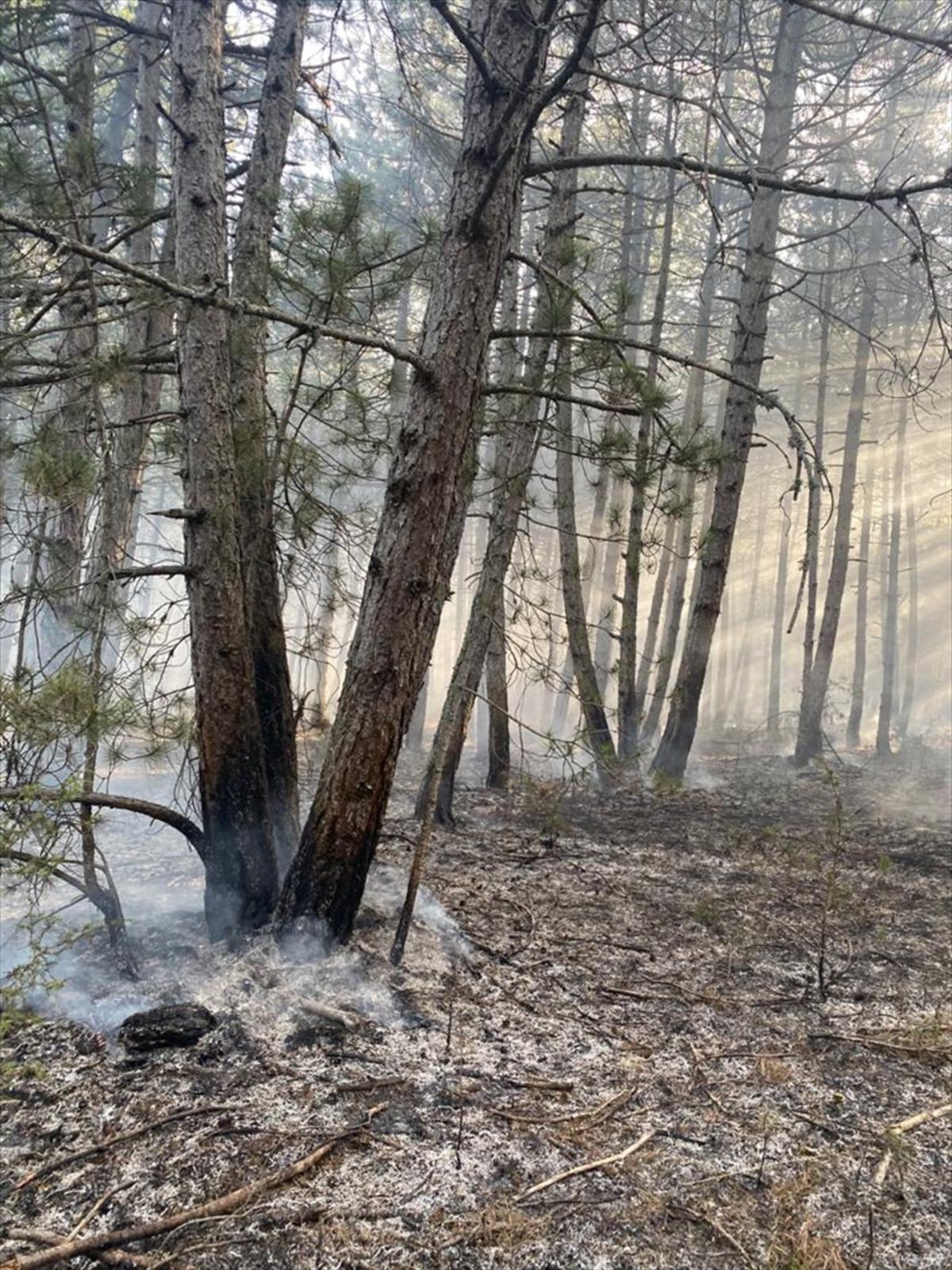 Kastamonu'da &ccedil;ıkan orman yangını kontrol altına alındı